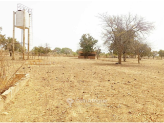 Terrain 50000m² - Ouagadougou