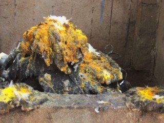 Marabout retour d'affection etc...