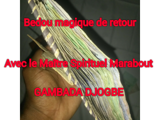 Puissant portefeuille magique