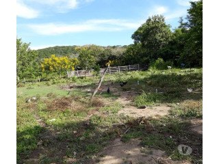 Vente hacienda a Apolo