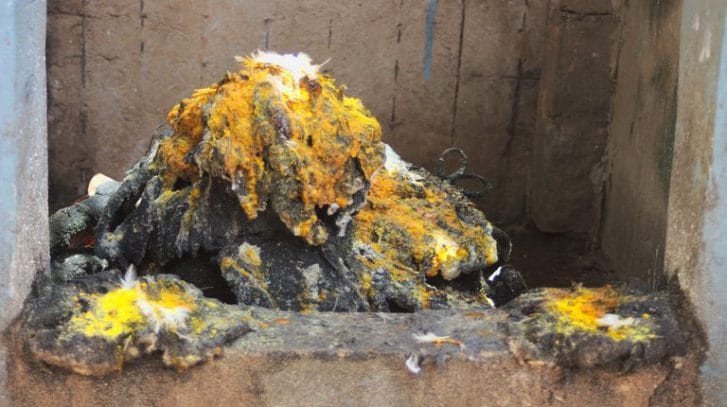 consultant-du-faa-retour-daffection-etc-big-0