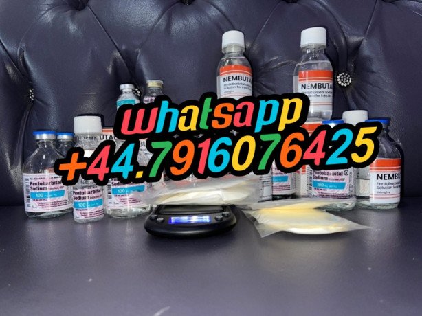 buy-pentobarbital-sodium-online-are-you-looking-to-buy-nembutal-pentobarbital-online-big-1