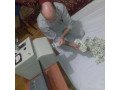labo-monetaire-0033687846540-small-2