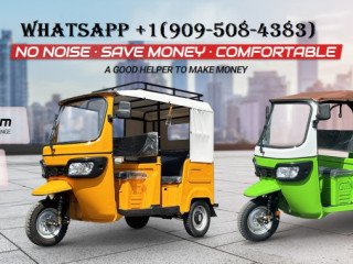 Grossiste en tricycles Bajaj et TVS King