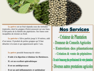 SORAG Société de service agricole