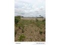 vente-de-terrain-a-bingerville-small-1