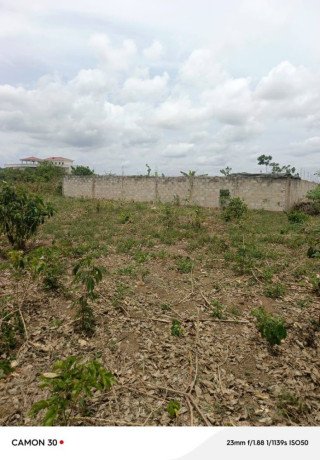 vente-de-terrain-a-bingerville-big-1