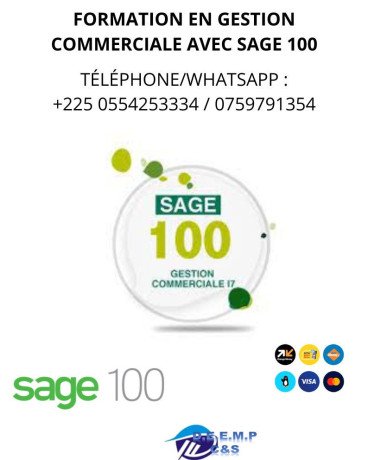 formation-en-sage-100-gestion-commerciale-big-0