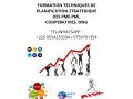 formation-aux-techniques-de-planification-strategique-pme-pmi-ong-small-0