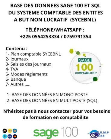 base-des-donnees-operationnelles-sage-100-comptabilite-sycbnl-big-0
