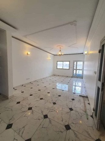 appartement-a-louer-hotel-du-plateau-big-2