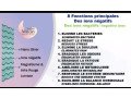 angel-moon-serviette-hygienique-therapeutique-small-0