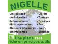 huile-de-nigelle-small-2