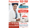 cours-de-preparation-au-tcf-tef-ielts-small-0