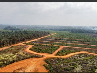 Terrain titré ngombe village