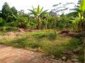 terrain-a-vendre-a-yaounde-small-0