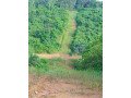 terrains-titres-et-lotis-plus-de-200-hectares-a-missole-1-et-missole-2-dibamba-small-2