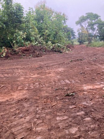 terrain-titre-a-vendre-big-0