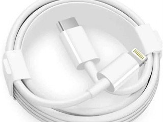 Cordon fast charger Apple 1 m