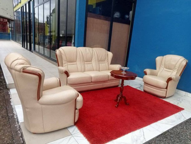 salon-en-cuir-aq23-big-0