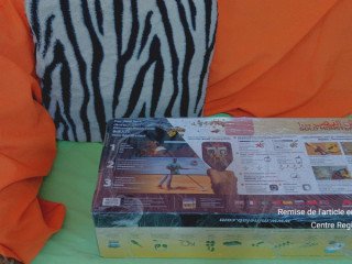 DÉTECTEUR D'OR NATIF