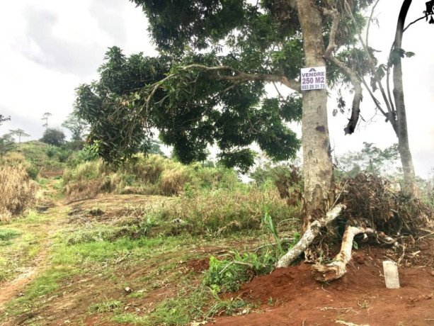 terrain-titre-a-vendre-big-3