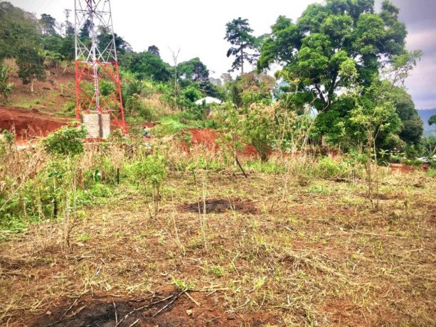 terrain-titre-a-vendre-big-0