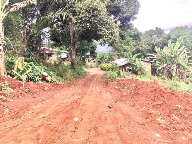 terrain-titre-a-vendre-big-4