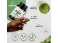 spiruline-chlorella-small-0