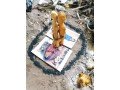 rendre-votre-compagnon-fidele-puissant-marabout-francois-small-4