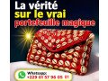 le-vrai-portefeuille-magique-small-0