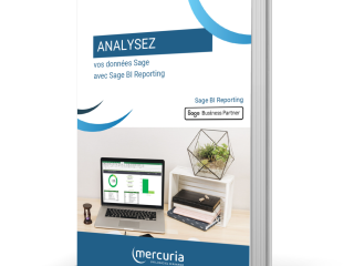 SAGE 100 BI REPORTING + LICENCE 10 ANS