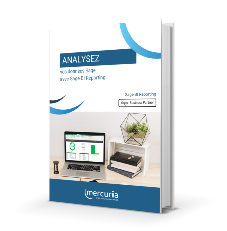 sage-100-bi-reporting-licence-10-ans-big-0