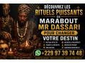 magie-blanche-du-medium-mr-dassari-paul-rituel-de-protection-spirituelle-et-desenvoutement-complet-small-2