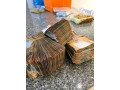 la-force-tranquille-africaine-est-toujours-disponible-ici-small-2