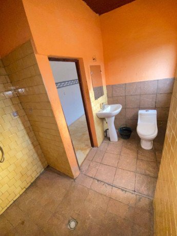 vaste-appartement-a-mvan-big-4