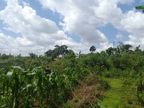 terrain-titre-a-vendre-a-carriere-awae-big-4