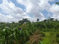 terrain-titre-a-vendre-a-carriere-awae-small-4