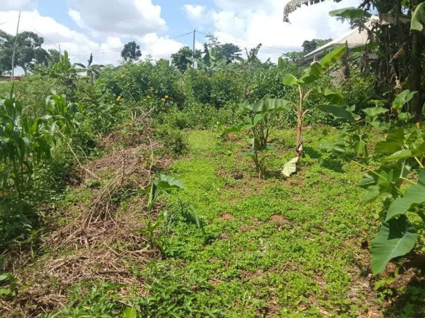 terrain-titre-a-vendre-a-carriere-awae-big-1