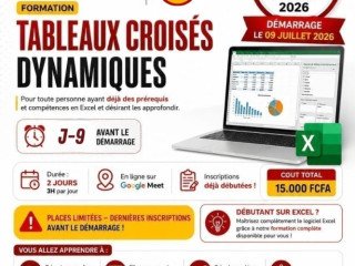 Maîtrise des Tableaux croisés dynamiques