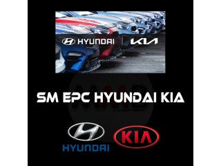 Hyundai KIA SM EPC 2020