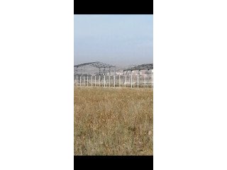 Vente Terrain 140000 m² Tipaza Sidi Rached 2500 DA/m2