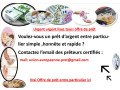 offre-de-pret-entre-particulier-serieux-gouvernementale-en-france-suisse-belgique-small-0