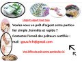 offre-de-pret-entre-particulier-serieux-en-72h-small-0