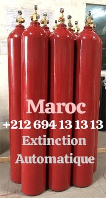 extinction-automatique-a-gaz-novec-argogene-co2-fm200-tanger-big-2