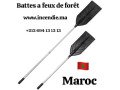rabat-batte-a-feu-et-seau-dorsal-maroc-feux-de-foret-small-1