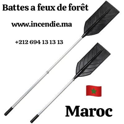 rabat-batte-a-feu-et-seau-dorsal-maroc-feux-de-foret-big-1
