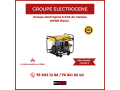 divers-groupes-electrogenes-diesel-essence-a-vendre-au-senegal-small-1