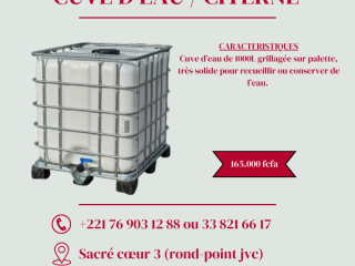 NOUS VOUS PROPOSONS DES CUVES D’EAU / CITERNE DE 1000L