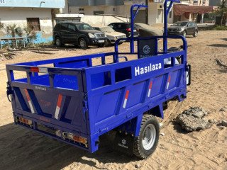 DES MOTO TRICYCLES HASILAZA 200 ET 300CC